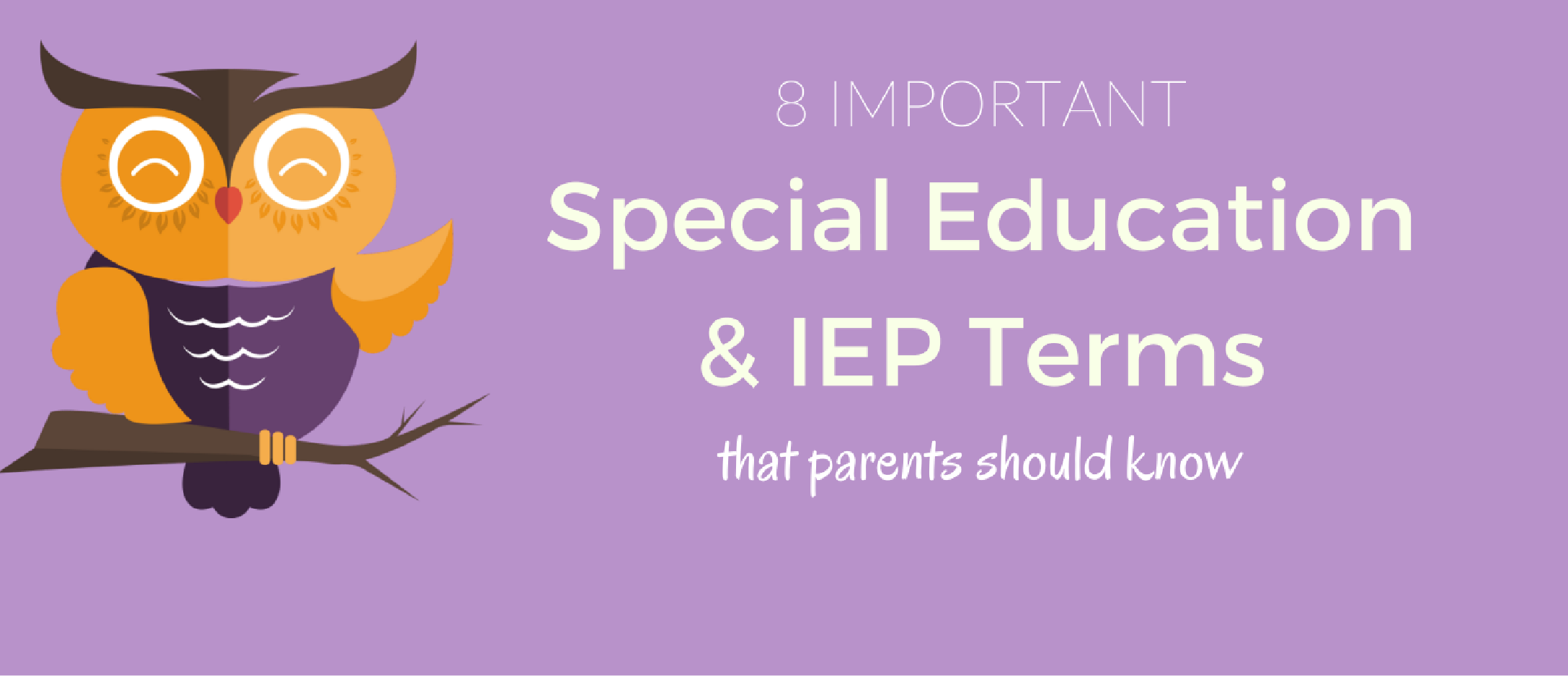 IEP and Special Education Terms